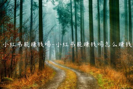 小紅書能賺錢嗎-小紅書能賺錢嗎怎么賺錢